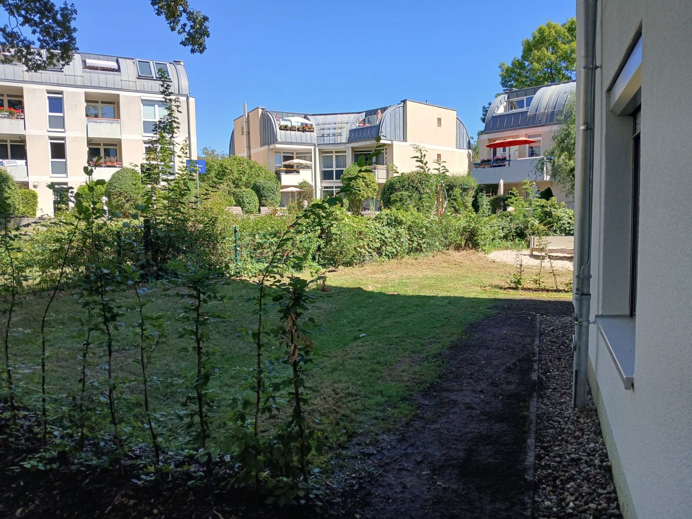 Heckenpflanzung in einer Wohnanlage