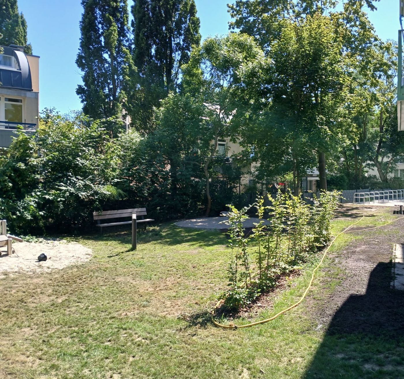 Hecke und Rasen im Innenhof