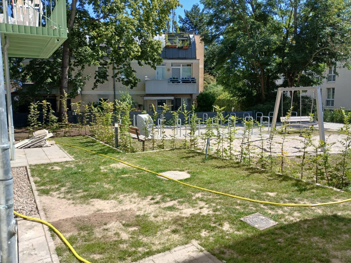 Neue Hecke und Rasenflächen