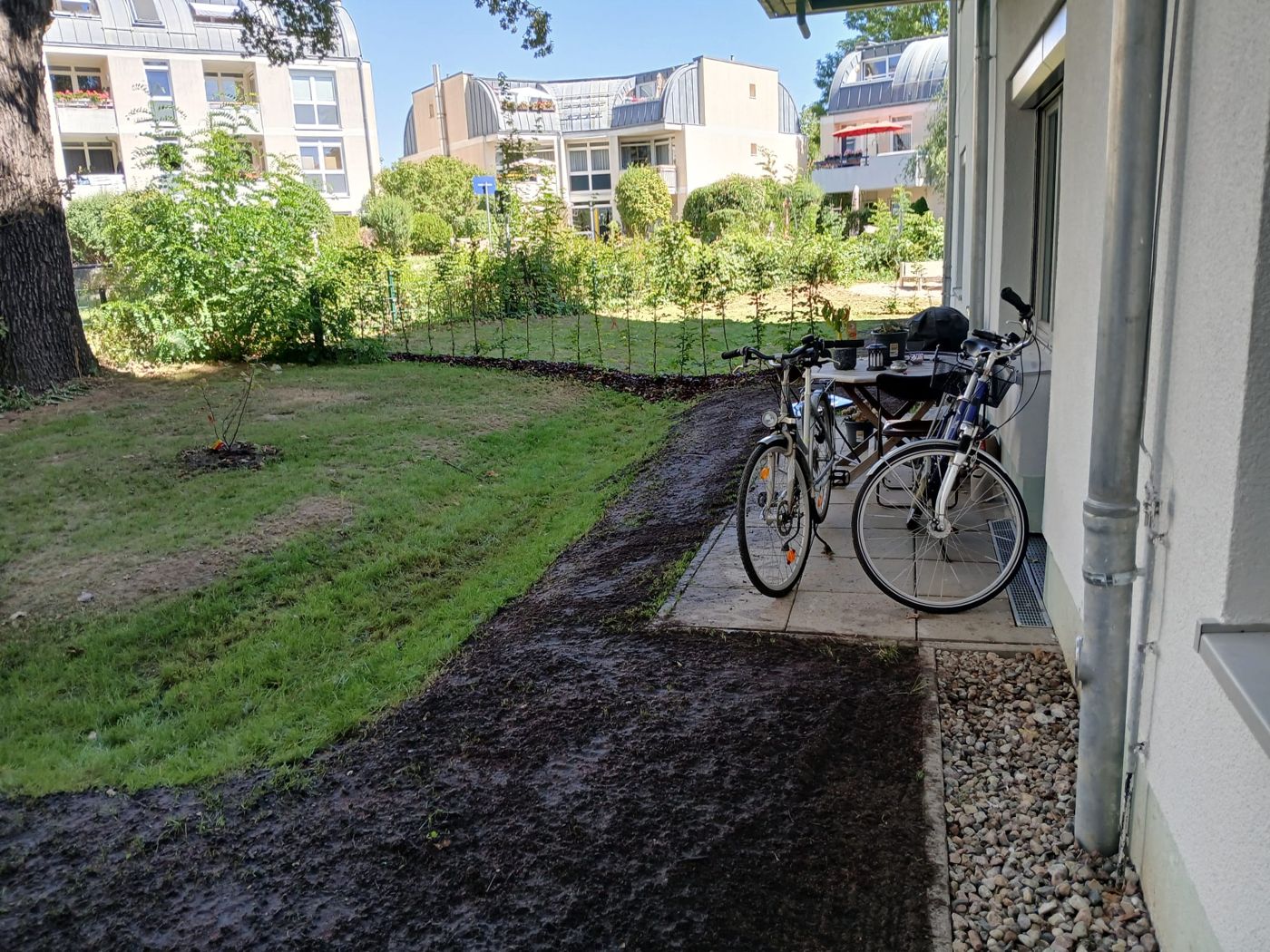 Rasenfläche an einer Terrasse